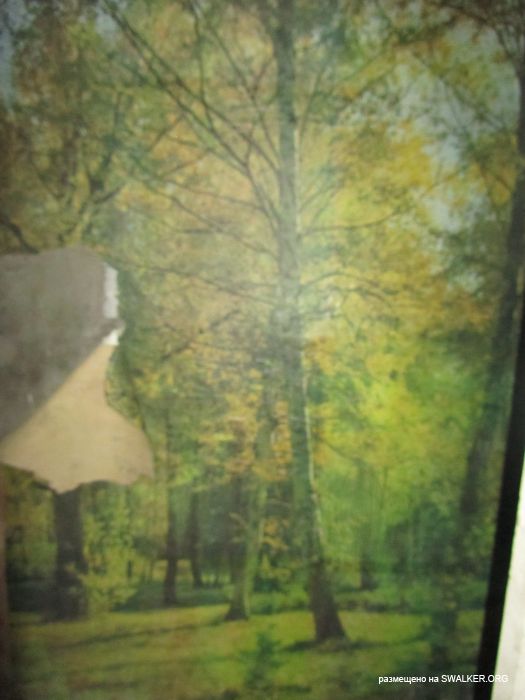 Брошенный военный городок, Московская область, часть 2 Брошенный военный городок, Московская область, часть 2