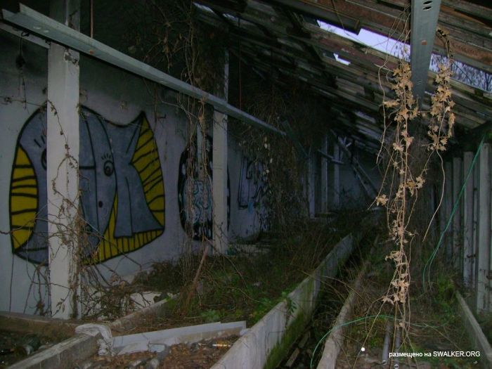 Усадьба Покровское-Стрешнево, Москва