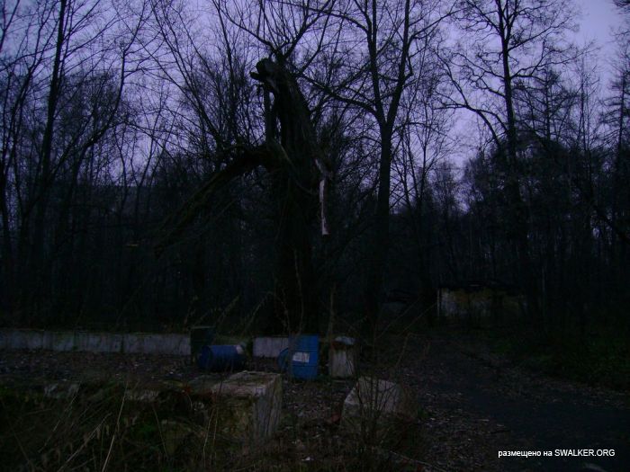 Усадьба Покровское-Стрешнево, Москва