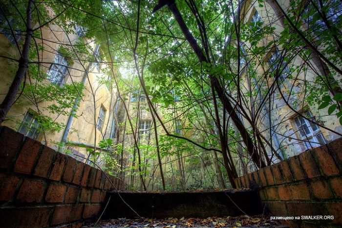 Советская школа № 71