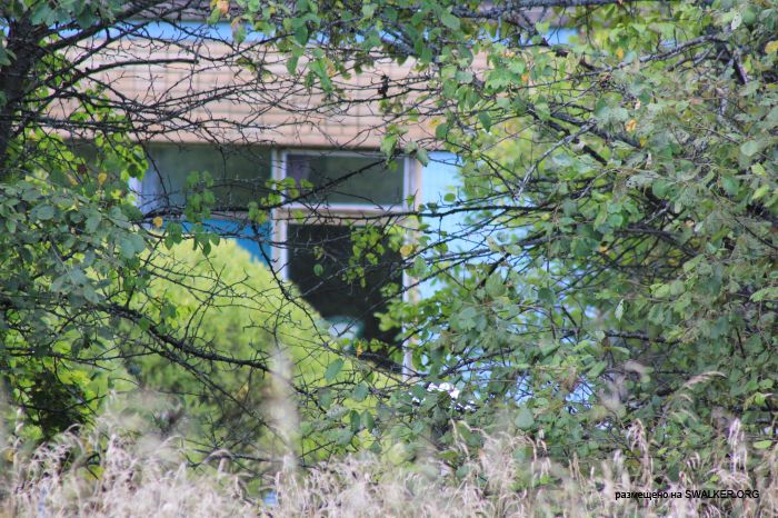 Заброшенная база отдыха, Московская область