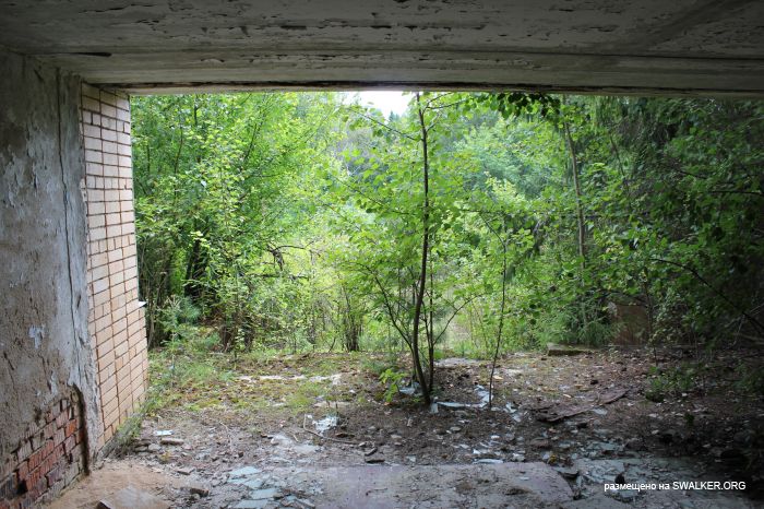 Заброшенная база отдыха, Московская область