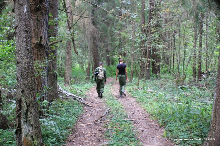Заброшенная база отдыха, Московская область