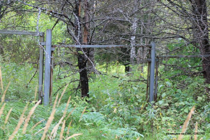 Заброшенная база отдыха, Московская область