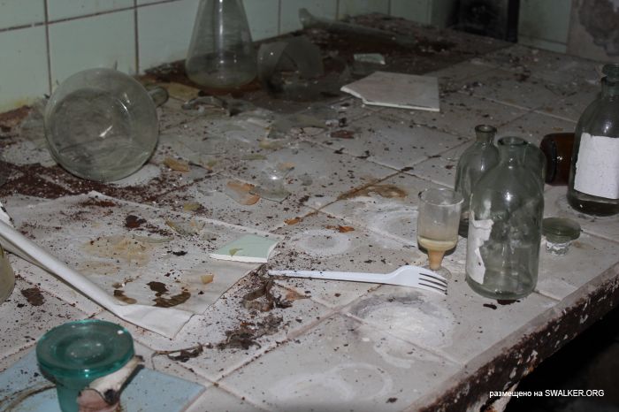 Заброшенная база отдыха, Московская область