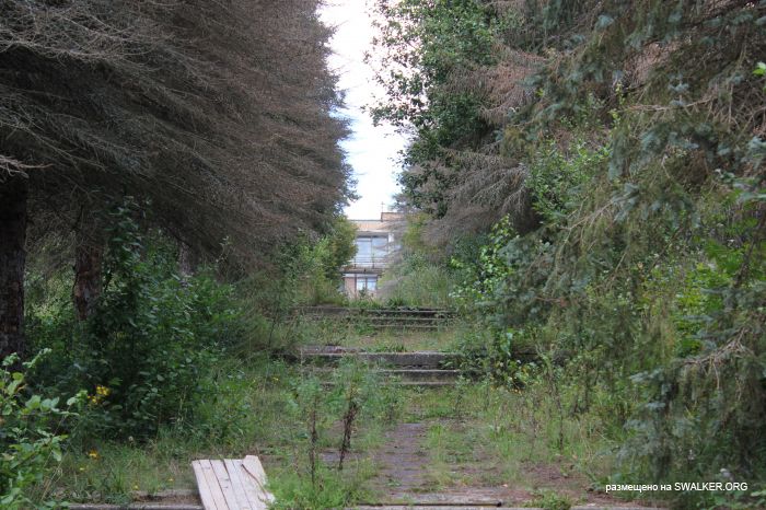 Заброшенная база отдыха, Московская область