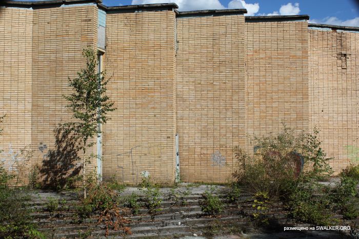 Заброшенная база отдыха, Московская область