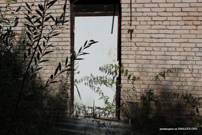 Заброшенная база отдыха, Московская область