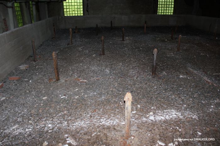 Заброшенная база отдыха, Московская область