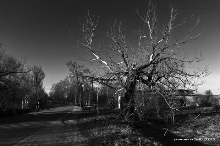 Церковь Успения Пресвятой Богородицы Церковь Успения Пресвятой Богородицы