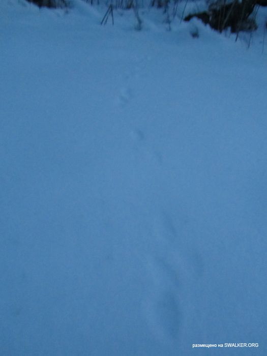 Бывшая база снаряжения ракет ЗРК С-25