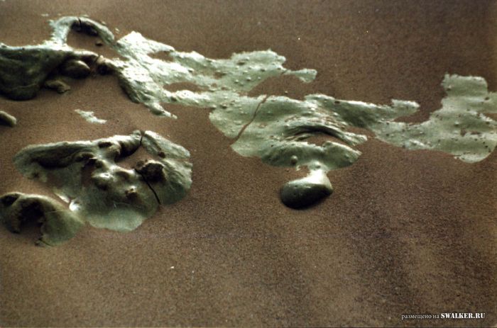 UFO - Зона СТАЛКЕРОВ ))))