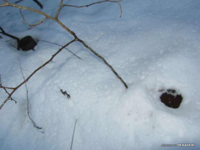 Испытательные стенды ВНИЦ ВЭИ