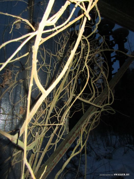 Испытательные стенды ВНИЦ ВЭИ