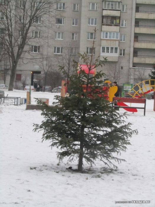Это Питер, Детка! Это Питер, Детка!