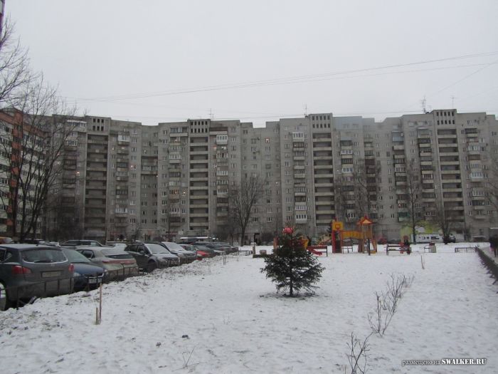 Это Питер, Детка! Это Питер, Детка!