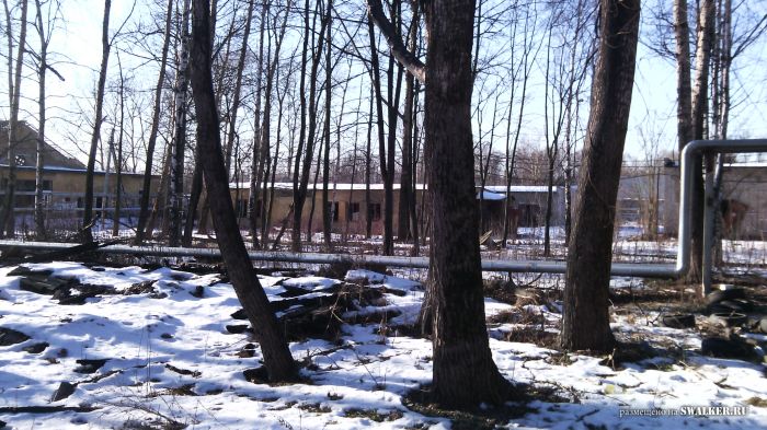 Добрый день Дорогие друзья! Всех с весной! Добрый день Дорогие друзья! Всех с весной!