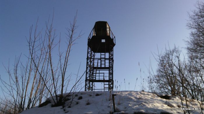 Добрый день Дорогие друзья! Всех с весной! Добрый день Дорогие друзья! Всех с весной!