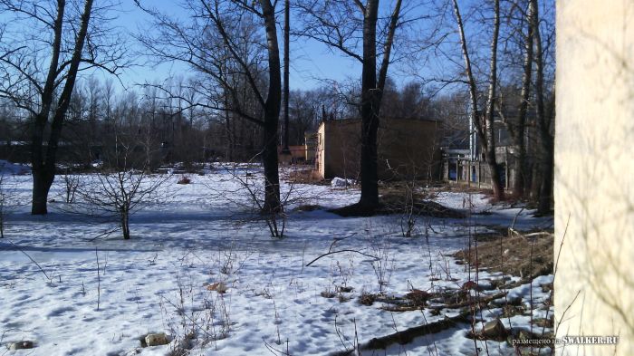 Добрый день Дорогие друзья! Всех с весной! Добрый день Дорогие друзья! Всех с весной!