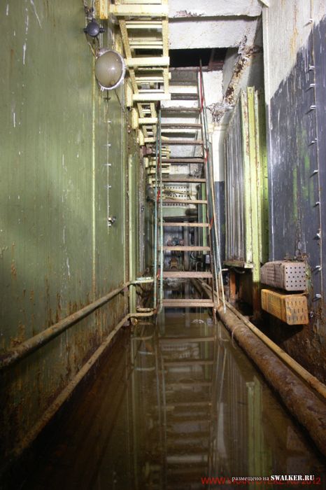 Тень независимости