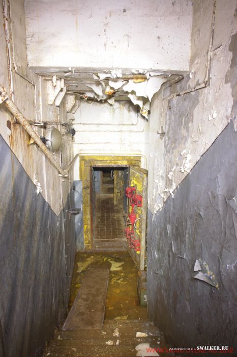 Тень независимости