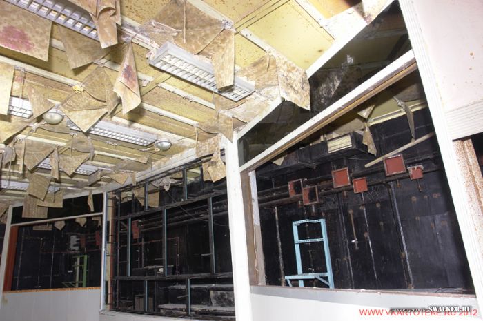 Тень независимости