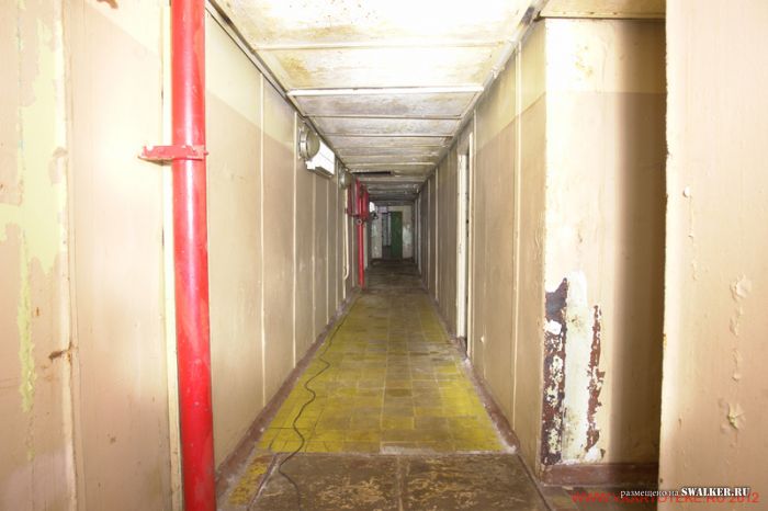 Тень независимости