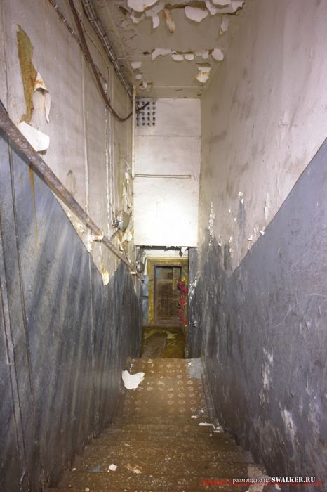 Тень независимости