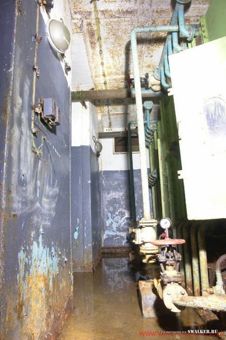 Тень независимости