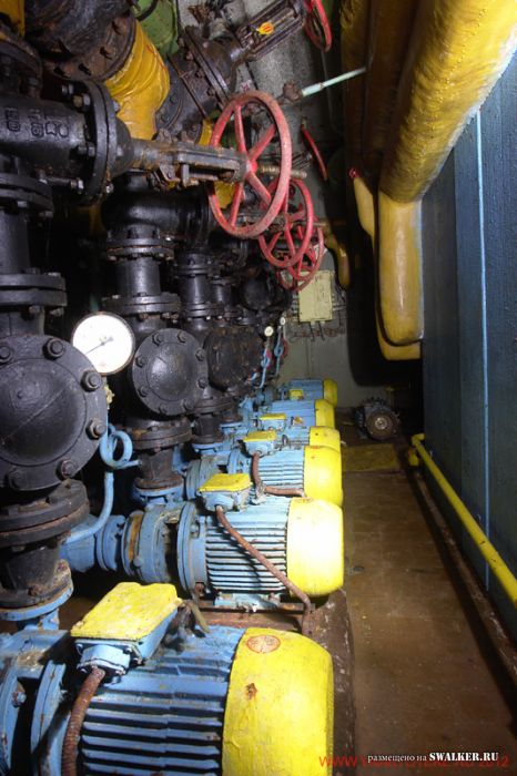 Тень независимости