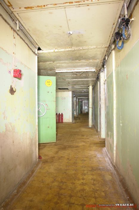 Тень независимости