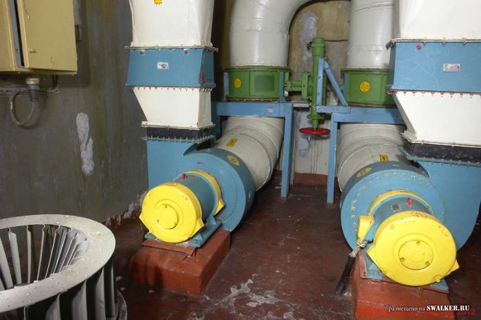 Тень независимости