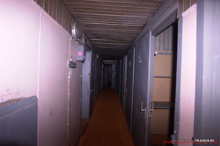 Тень независимости