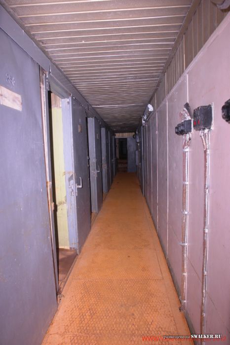 Тень независимости