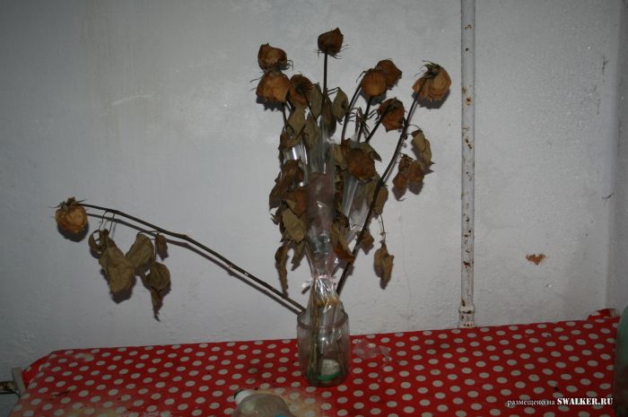 Заброшенный пионерлагерь БЕРЁЗКА, Свердловская область