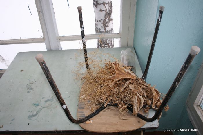 Заброшенный пионерлагерь БЕРЁЗКА, Свердловская область