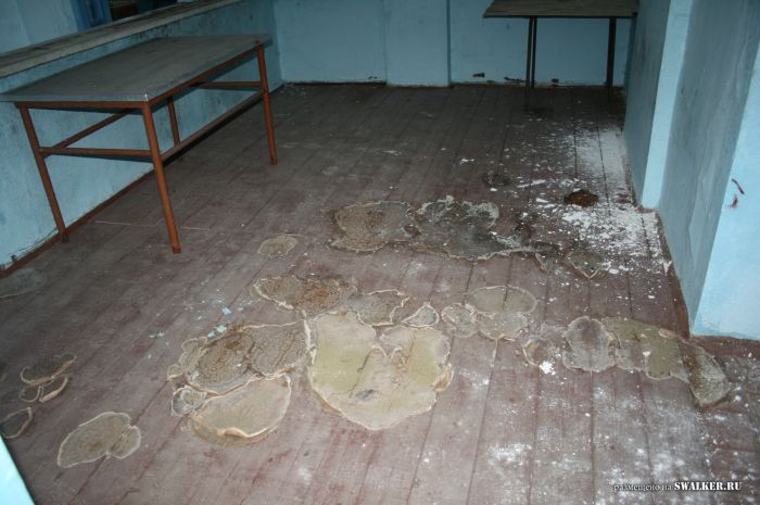 Заброшенный пионерлагерь БЕРЁЗКА, Свердловская область