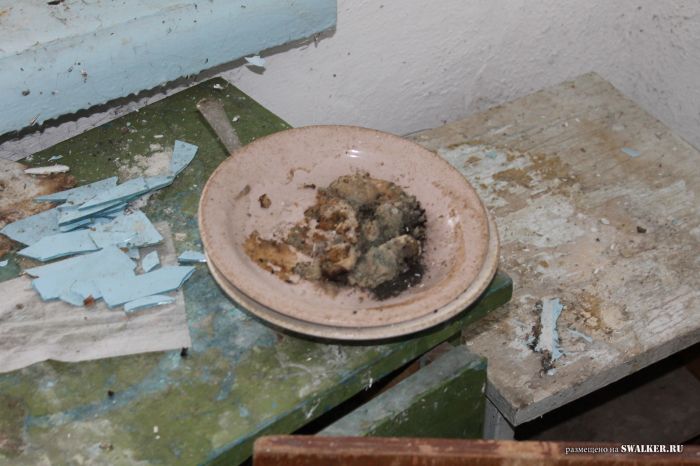 Заброшенный пионерлагерь БЕРЁЗКА, Свердловская область