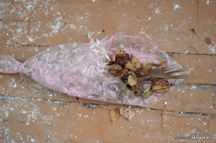 Заброшенный пионерлагерь БЕРЁЗКА, Свердловская область