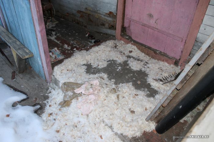 Заброшенный пионерлагерь БЕРЁЗКА, Свердловская область