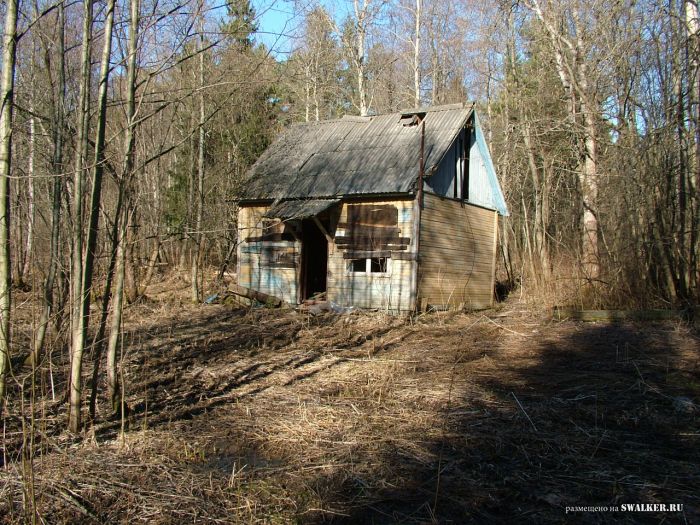 Заброшенный пионерский лагерь, Московская область Заброшенный пионерский лагерь, Московская область