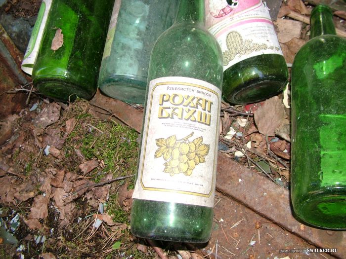 Заброшенный пионерский лагерь, Московская область Заброшенный пионерский лагерь, Московская область
