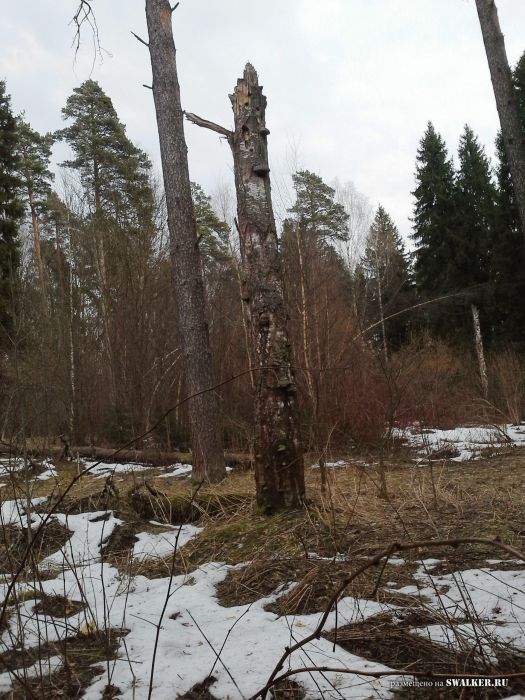 Заброшенный пансионат "Дружба"