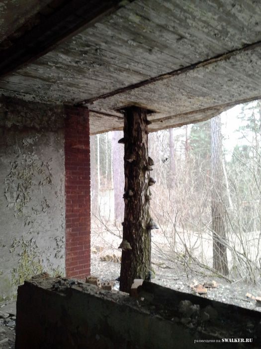 Заброшенный пансионат "Дружба"