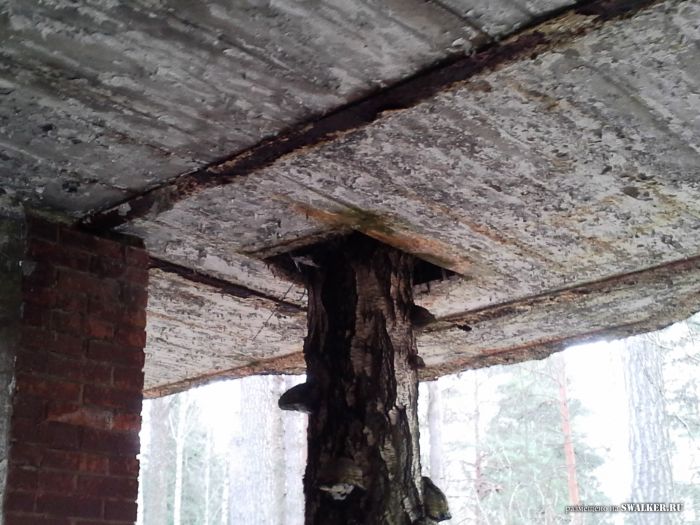 Заброшенный пансионат "Дружба"