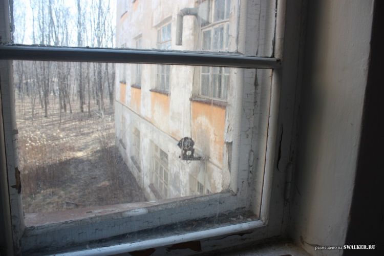 Заброшенный биологический НИИ