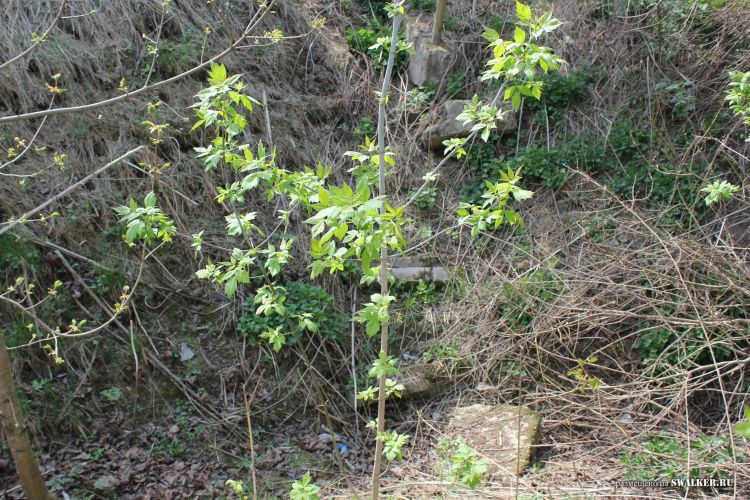 Узел связи Свинец