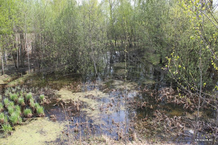 Узел связи Свинец