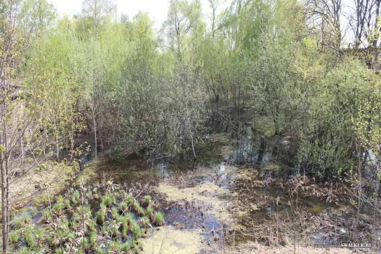 Узел связи Свинец