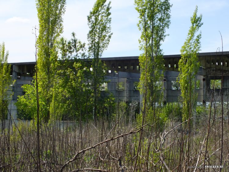 Заброшенное общежитие и столовая, Воронежская область